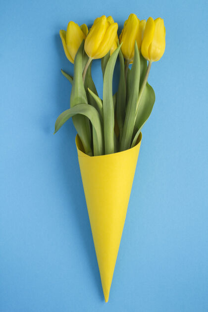 花束特写黄色郁金香在纸黄色圆锥蓝色表面花地点圆锥体