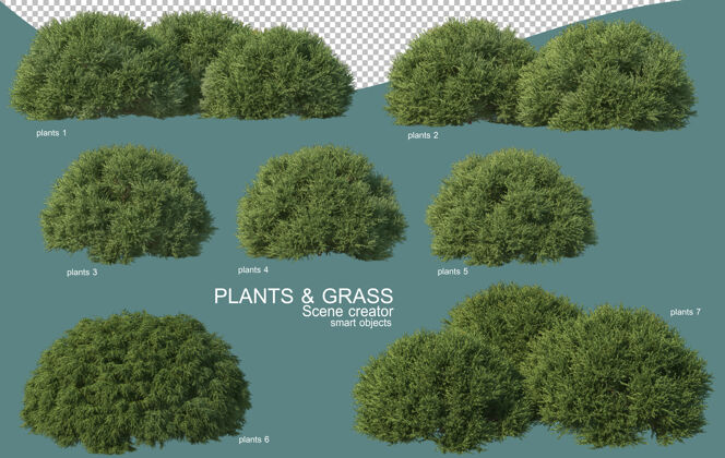 草草和灌木排列的三维渲染户外环境花园