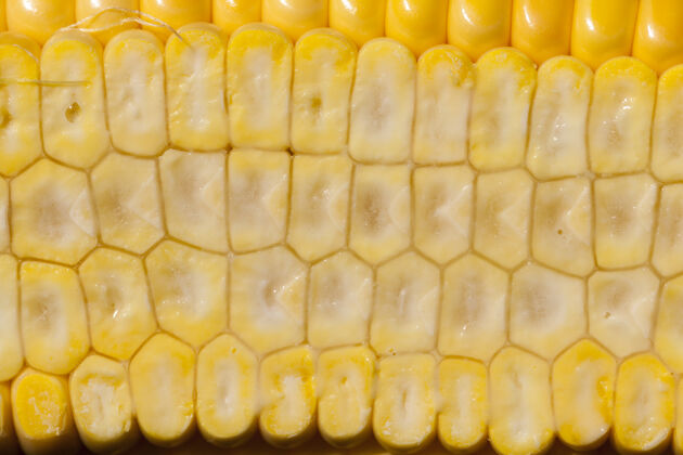 农村内部结构的玉米棒 切成两半干燥器玉米棒切割