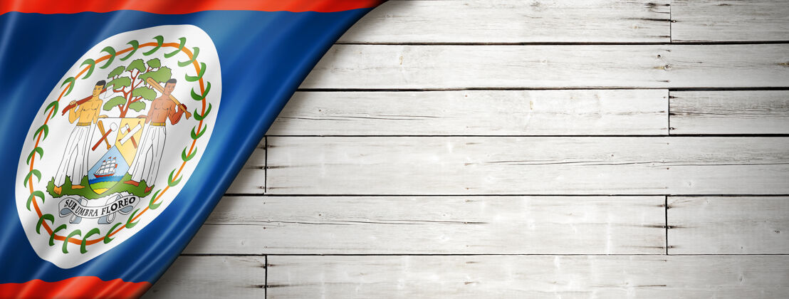 纹理旧白色的伯利兹旗水平墙全景横幅面板全景纺织品