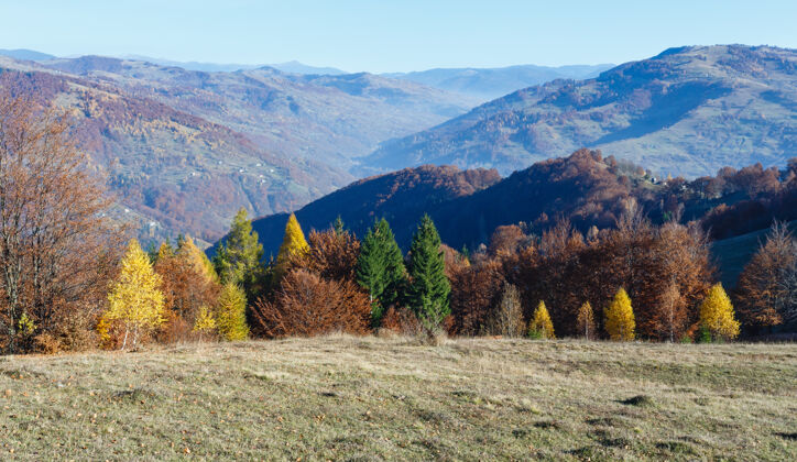 山坡山坡上五彩缤纷的树木和身后秋日的雾山树叶季节薄雾