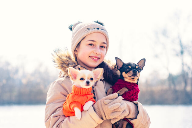 动物少女抱着她的两只小狗吉娃娃狗和成年狗dog.chihuahua小狗快乐主人女性