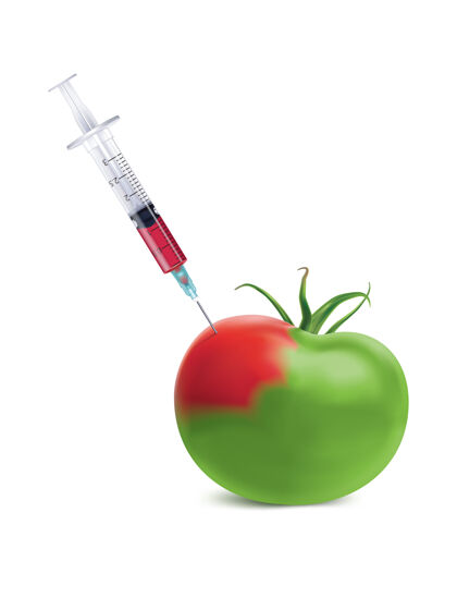 药物带注射器的绿色番茄生物技术转基因医药
