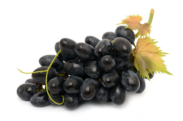 葡萄栽培白色表面上的多汁葡萄葡萄生长葡萄藤