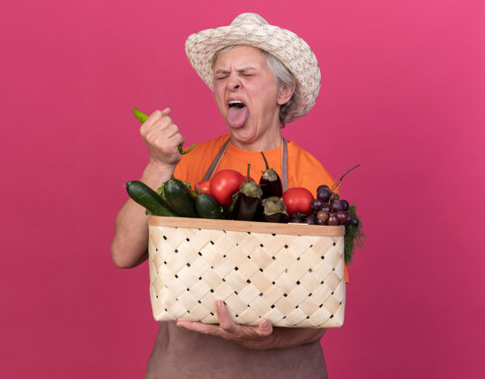卡住戴着园艺帽的上了年纪的女园丁 拿着菜篮子和辣椒 跺着舌头粉红辣不愉快
