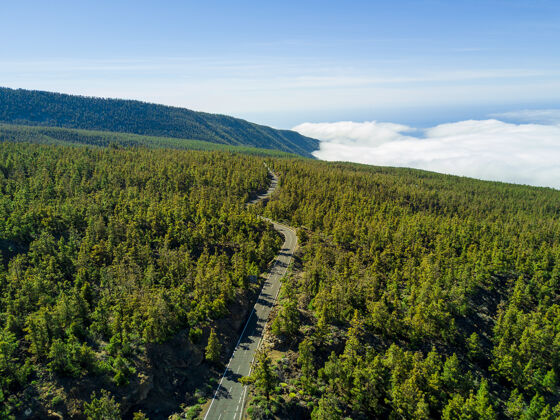 天空空中拍摄了一条穿过绿色林地的长路 背景是风景如画的云景风景道路风景