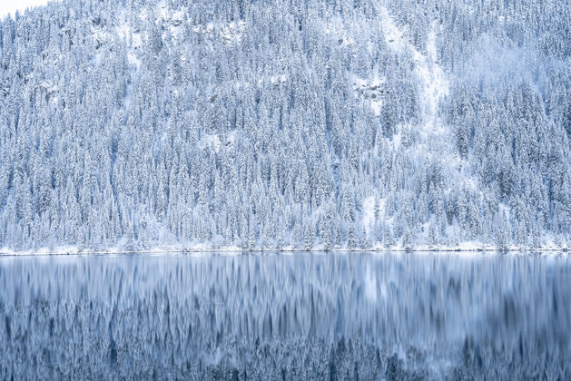 山阿尔卑斯山上许多树上覆盖着白雪 倒映在湖面上的美丽景色野外松树寒冷