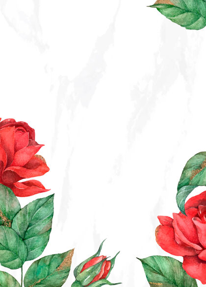 水彩背景盛开的玫瑰边境请柬花卉背景边框和框架开花
