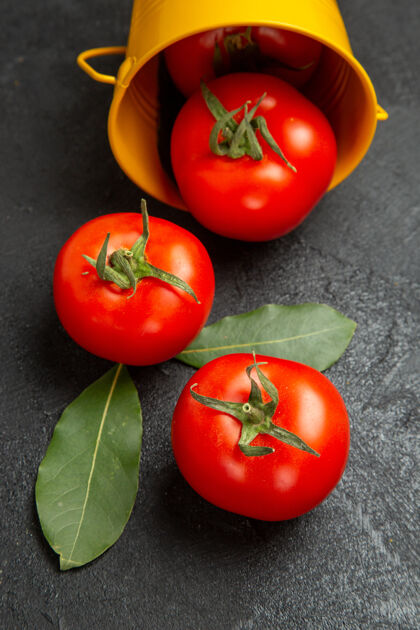 沙拉底图桶与红色番茄在黑暗的背景新鲜蔬菜配料