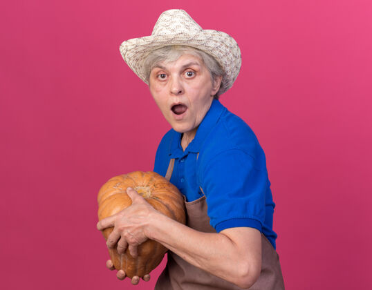 女震惊的上了年纪的女园丁戴着园艺帽捧着粉红色的南瓜老人花园园艺