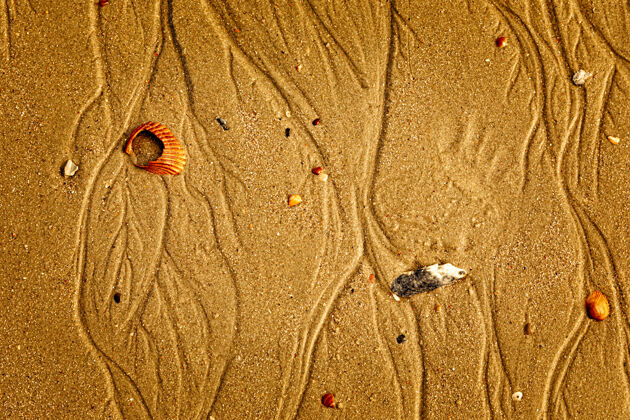 背景贝壳上的金色沙滩纹理背景全帧荒芜沙