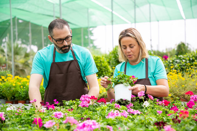 种植两位经验丰富的园丁正在讨论种花的方法活动工作花店