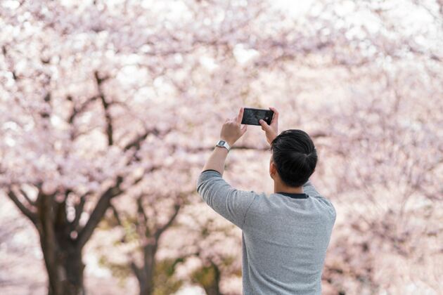 日本在户外享受大自然的人花树人
