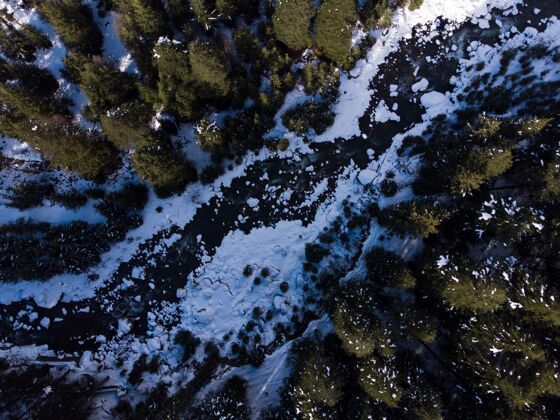 木冬季森林里一条冰冻河流的空中拍摄美森林湖