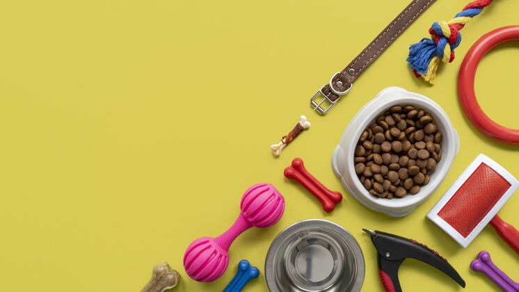 食品碗宠物配件静物概念与皮带和彩色玩具宠物配件宠物食品采购产品狗食品