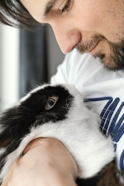 男人近距离看拿兔子的人兔子在家里垂直