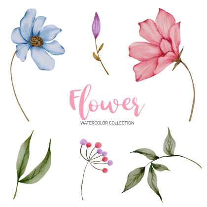 自然一组独立的部分 汇集到美丽的花束在水彩风格花卉手写粉彩