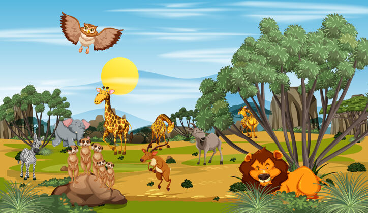 非洲森林里有许多不同的动物风景热狮子