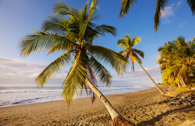 加勒比海哥斯达黎加美丽的热带太平洋海岸热带天堂阳光明媚