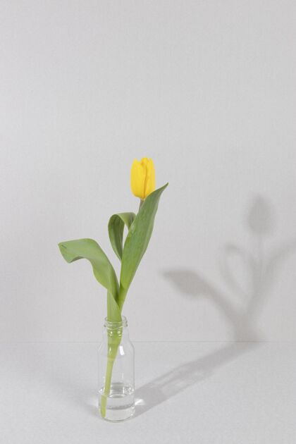 花瓶桌上花瓶里的花花开花叶