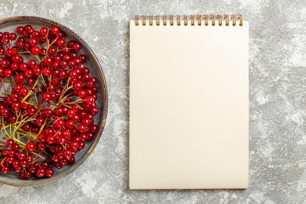 健康顶视图红色蔓越莓醇厚的水果在白色背景上背景冬青浆果