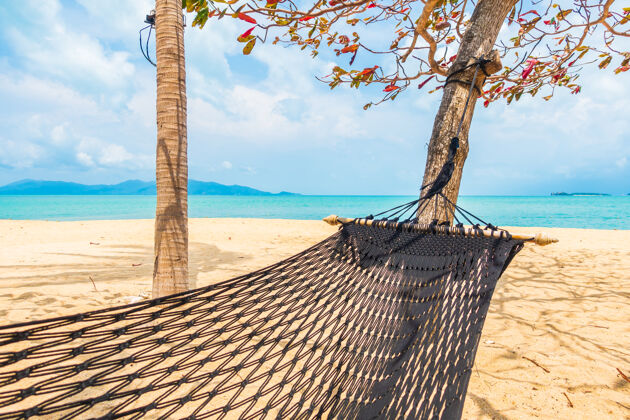 加勒比空空的吊床荡在沙滩 大海 白云和蓝天之间 供旅游度假之用天堂风景棕榈
