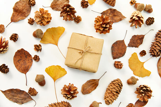 圆锥体在一个花环的中间 由秋天的叶子和针叶锥做成的礼物的平放制造针叶树自然