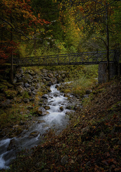 森林水在棕色的木桥上流淌岩石桥梁河流