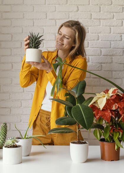室内植物穿黄衬衫的年轻女子在家里种花植物学女人家庭园艺