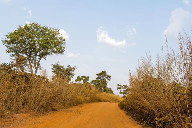 自然非洲自然风光与小径视图树木地形