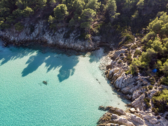 欧罗巴爱琴海沿岸有蓝色透明的海水 周围绿树成荫 岩石 灌木丛和树木 从无人驾驶飞机上俯瞰希腊海岸岩石地中海