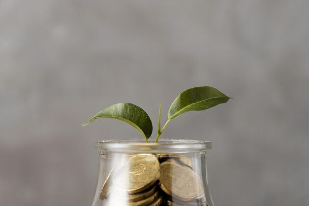 硬币从一罐硬币看植物生长的正面图金融横向资本
