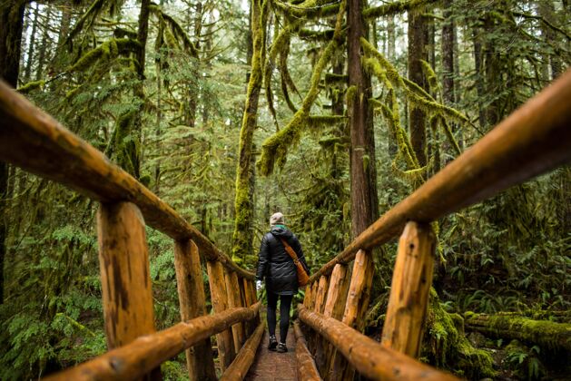 森林一个人走在长满青苔的木桥上步行徒步旅行栖息地