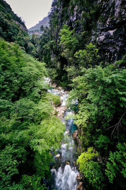 地区惊心动魄的法国绍特杜卢普瀑布拍摄绿色石头流动