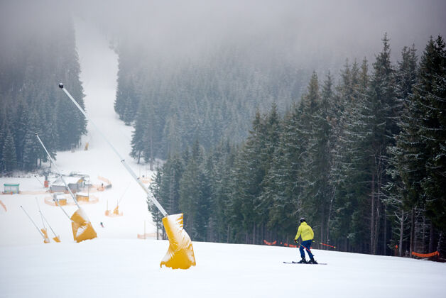 极限滑雪者在茂密的针叶林中用轮椅在山坡上滑雪后视图度假自然滑雪者