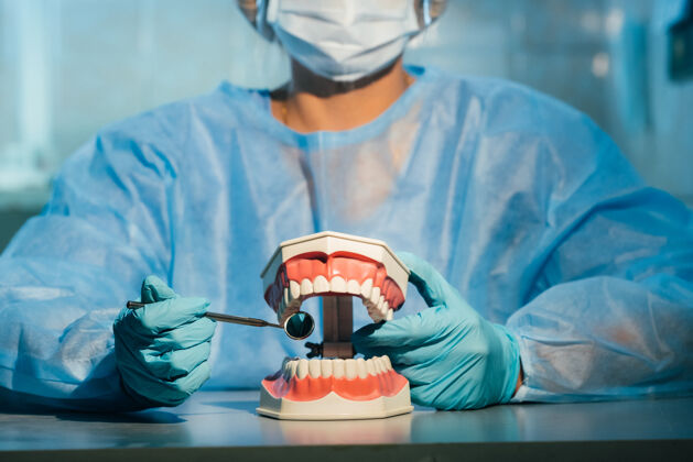 桥梁一个戴着蓝色手套和口罩的牙科医生拿着一个上下颚的牙科模型和一面牙科镜子牙科修复技术
