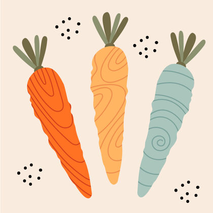 斯堪的纳维亚有趣的多色胡萝卜 不同的质地叶子食物蔬菜