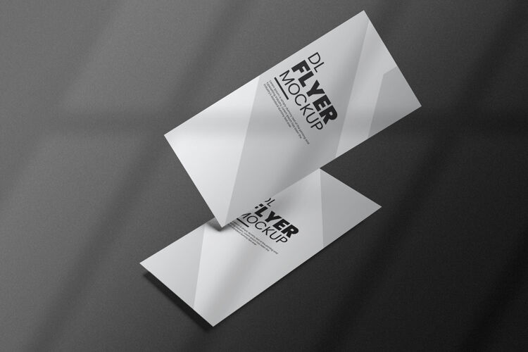 品牌Dl传单模型设计在三维渲染小册子演示传单