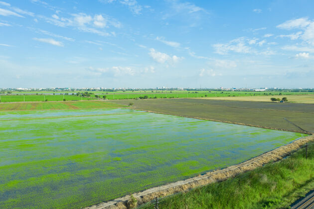 亚洲从空中俯瞰飞天的稻田 自然景观绿色图案农作物田野农业