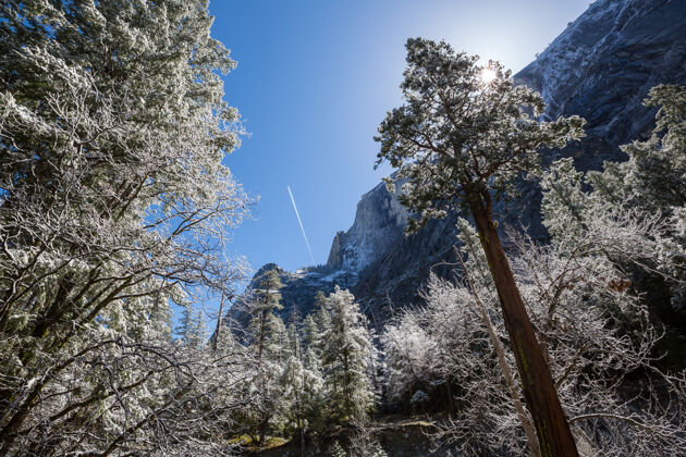 木板路冬季在约塞米蒂国家公园 加利福尼亚州 美国户外雪森林
