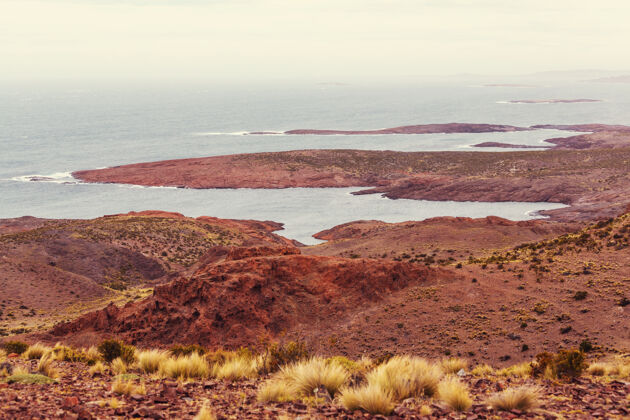 环境阿根廷的巴塔哥尼亚大西洋海岸海湾海岸海岸