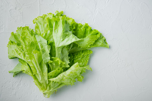 生的生的有机绿 橡木生菜 食物健康顶视图