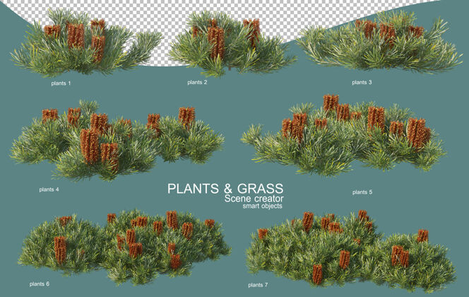 花园草和灌木排列的三维渲染园艺装饰植物