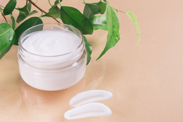 治疗盛有化妆霜和绿叶的罐子面部保湿 天然有机化妆品浴缸敏感化妆品
