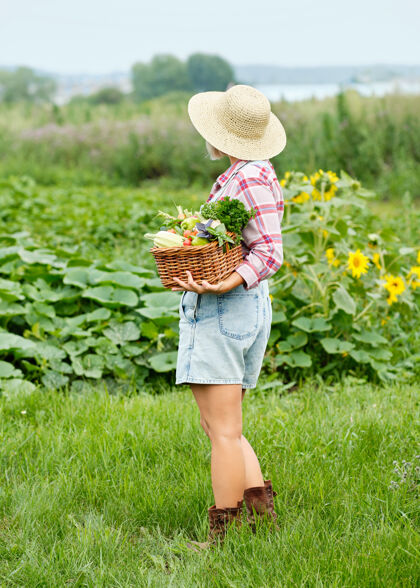 杂货女人手里拿着一篮子丰收的有机蔬菜和根上的有机生物农场.秋天蔬菜收获生菜番茄维生素