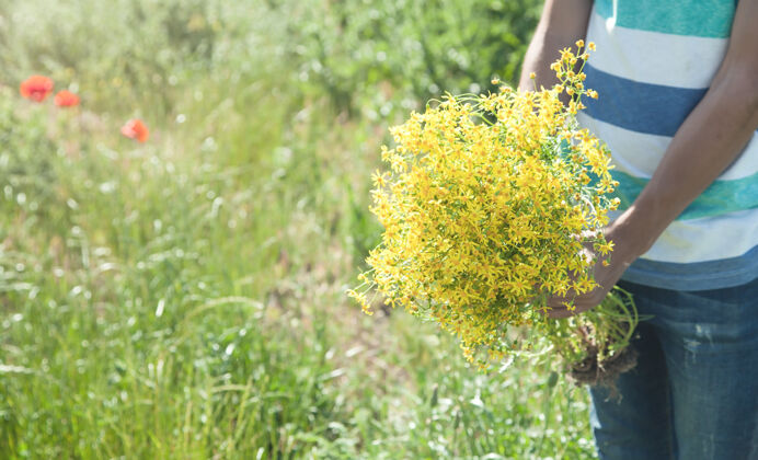 自然小男孩手里拿着黄花在地里年轻黄色植物