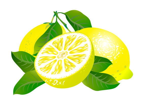 食物三个柠檬的叶子都是白色的多汁柠檬水新鲜