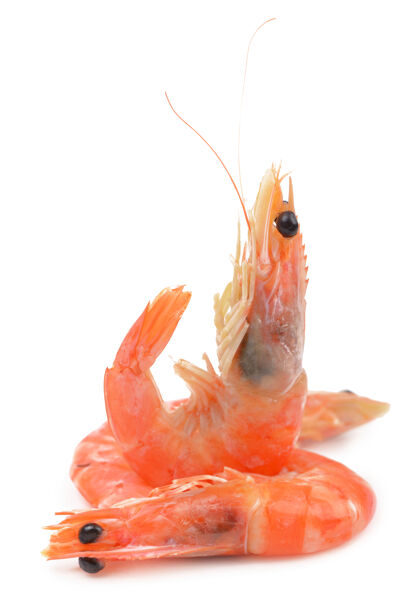 黑虾在白色背景上隔离的新鲜煮虎虾特写镜头部分餐橙色