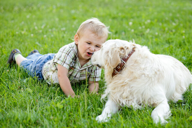 拥抱可爱的蹒跚学步金发男孩与金色猎犬户外小男性宠物