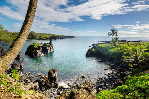 太平洋夏威夷毛伊岛美丽的热带景观风景自然岛屿